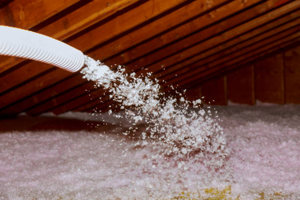 Best Insulation Materials and Products in Pittsville, MD