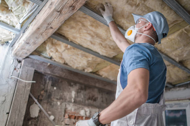 Best Commercial Insulation in Pittsville, MD